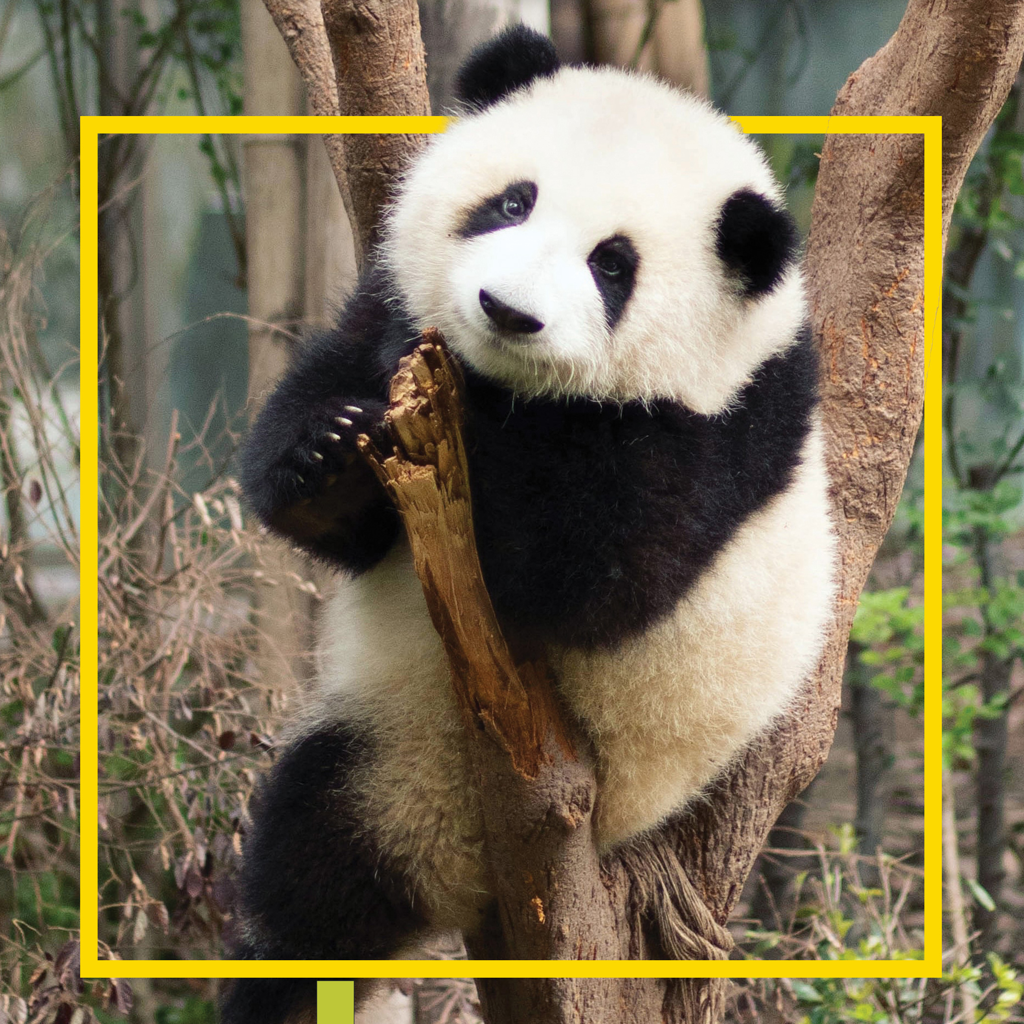 "Bêtes d'économistes"